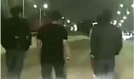 冷江大桥爆料视频大全集,揭秘工程背后的故事与真相